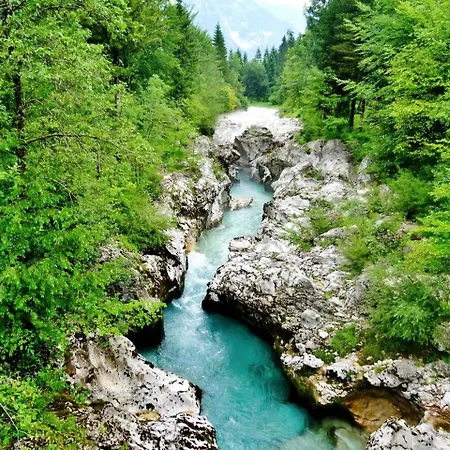 Inviting For A Vacation In The Stunning Setting Of Soca, Slovenia Dom wakacyjny *